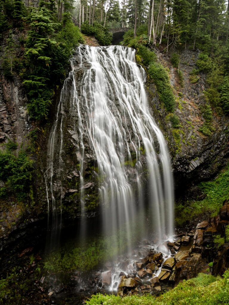 waterfall, forest, nature, water, falls, stream, mountain, mount rainier, scenic, mount rainier, mount rainier, mount rainier, mount rainier, mount rainier