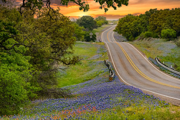 tx hillcountry hero image