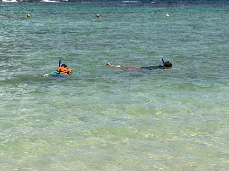 soft adventure snorkeling in Key West