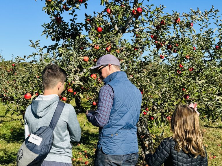 soft adventure apple picking catskills new york
