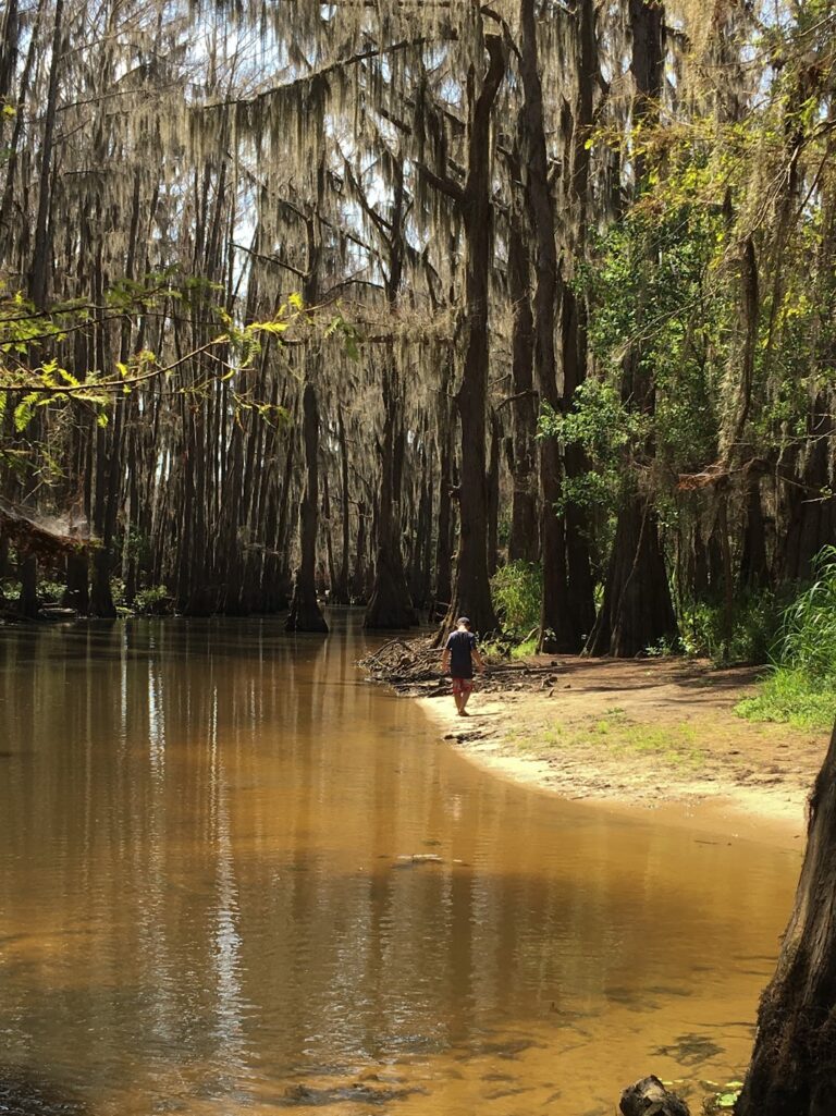 soft adventure caddo lake