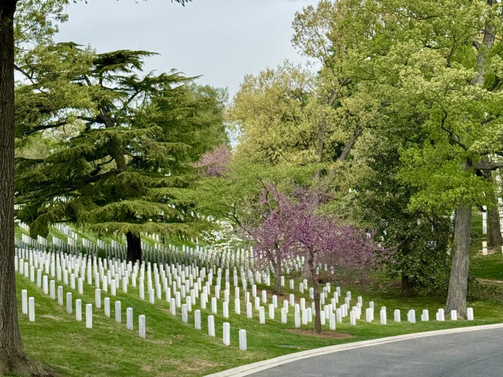 Arlington National Cemetery in Spring Washington DC
