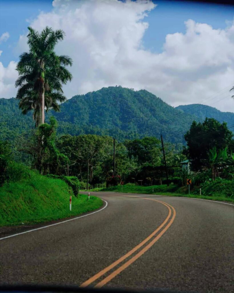 Hummingbird Highway jungle scenery Cayo District Belize