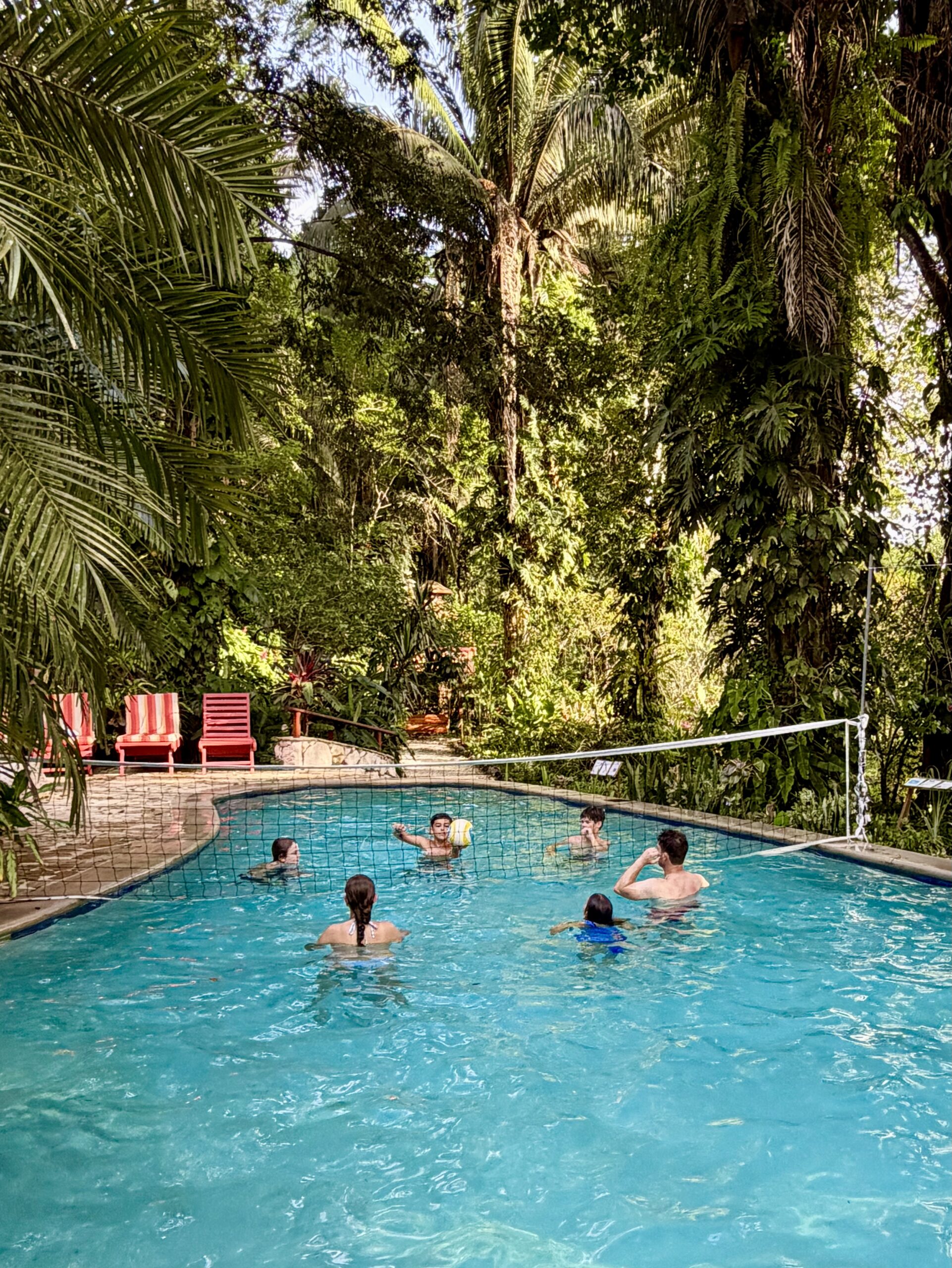 Ian Anderson's Caves Branch Jungle Lodge pool volleyball